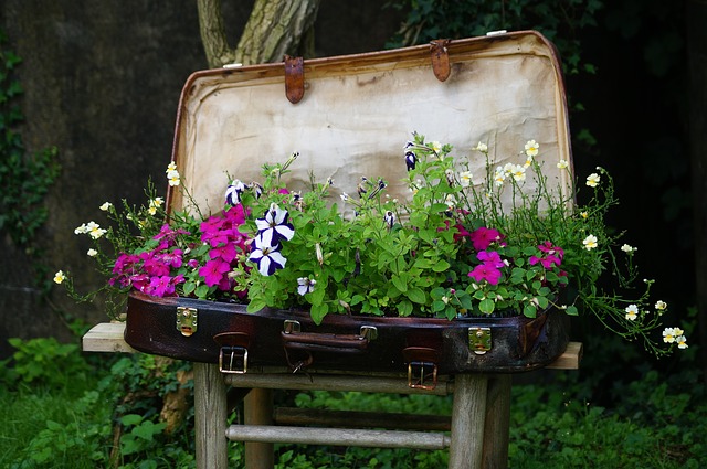 kytky v kufru