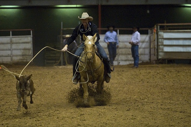 Koňské rodeo